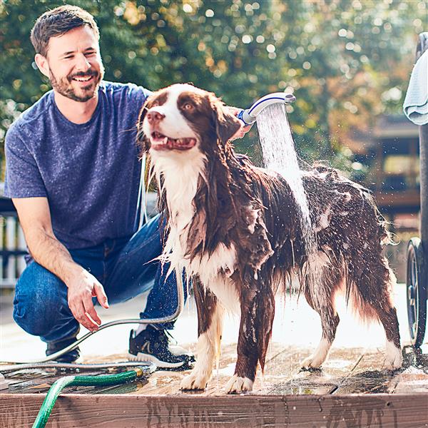 Using the PPR-252 Pet Wand Prod Dog Shower Outdoors